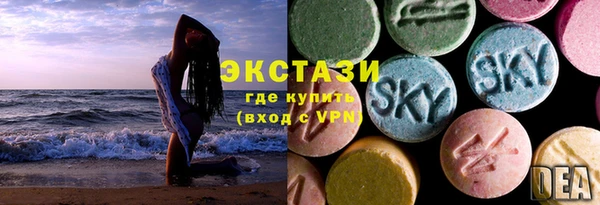 ECSTASY Вяземский